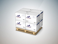CafÃ© com seguranÃ§a - Grycamp Transportes 